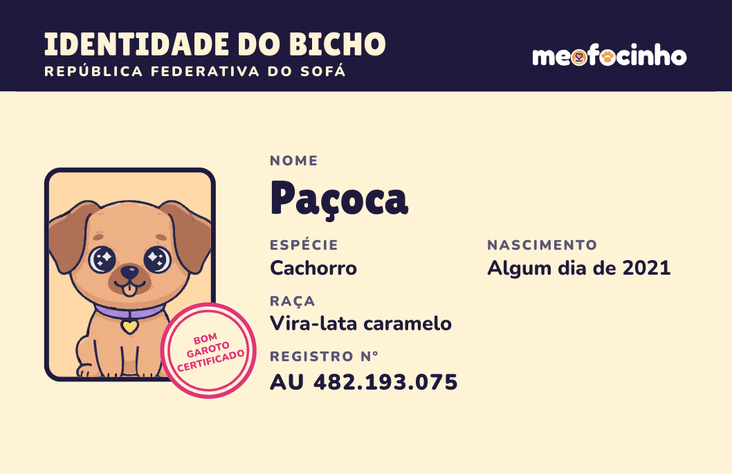 Frente da carteirinha: foto do Paçoca com carimbo, nome, espécie, raça e registro